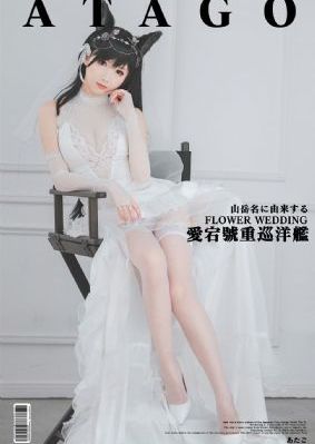 血狼犬电影完整版免费观看视频_超清高清免费观看